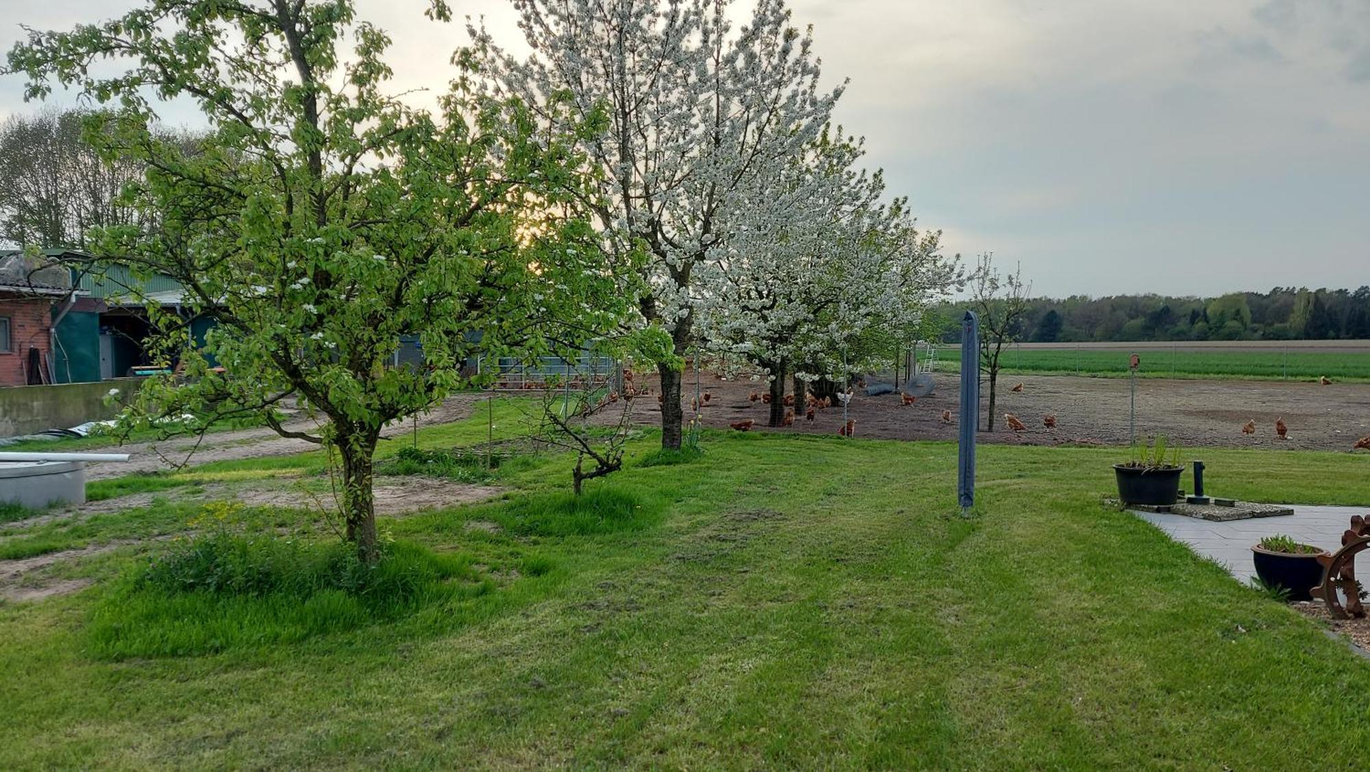 Huehnerhof-Roehrs Apartment ชเนเวอร์ดิงเงิน ภายนอก รูปภาพ